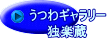 うつわギャラリー 独楽蔵